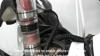 ქერა თმიანი სლუკუნი  ...