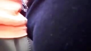 იაპონელ ჰუჩის მისა კ ...